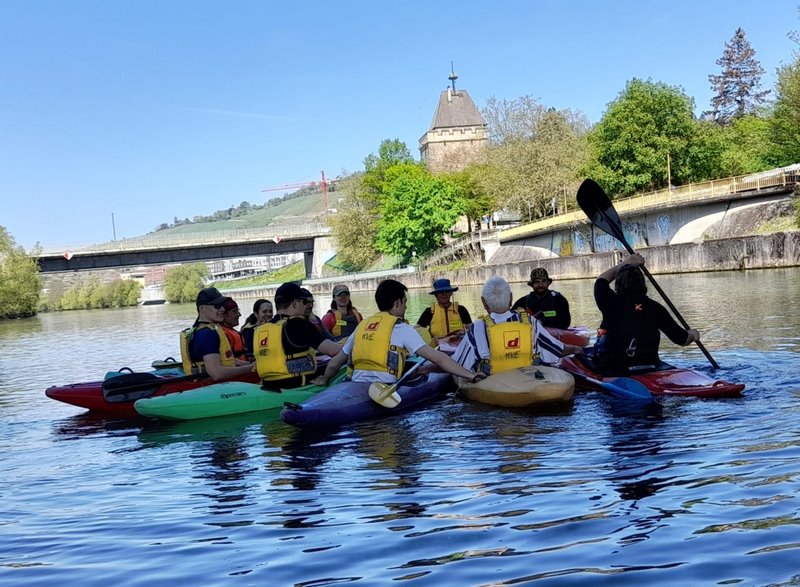 Kanublume auf dem Neckar
